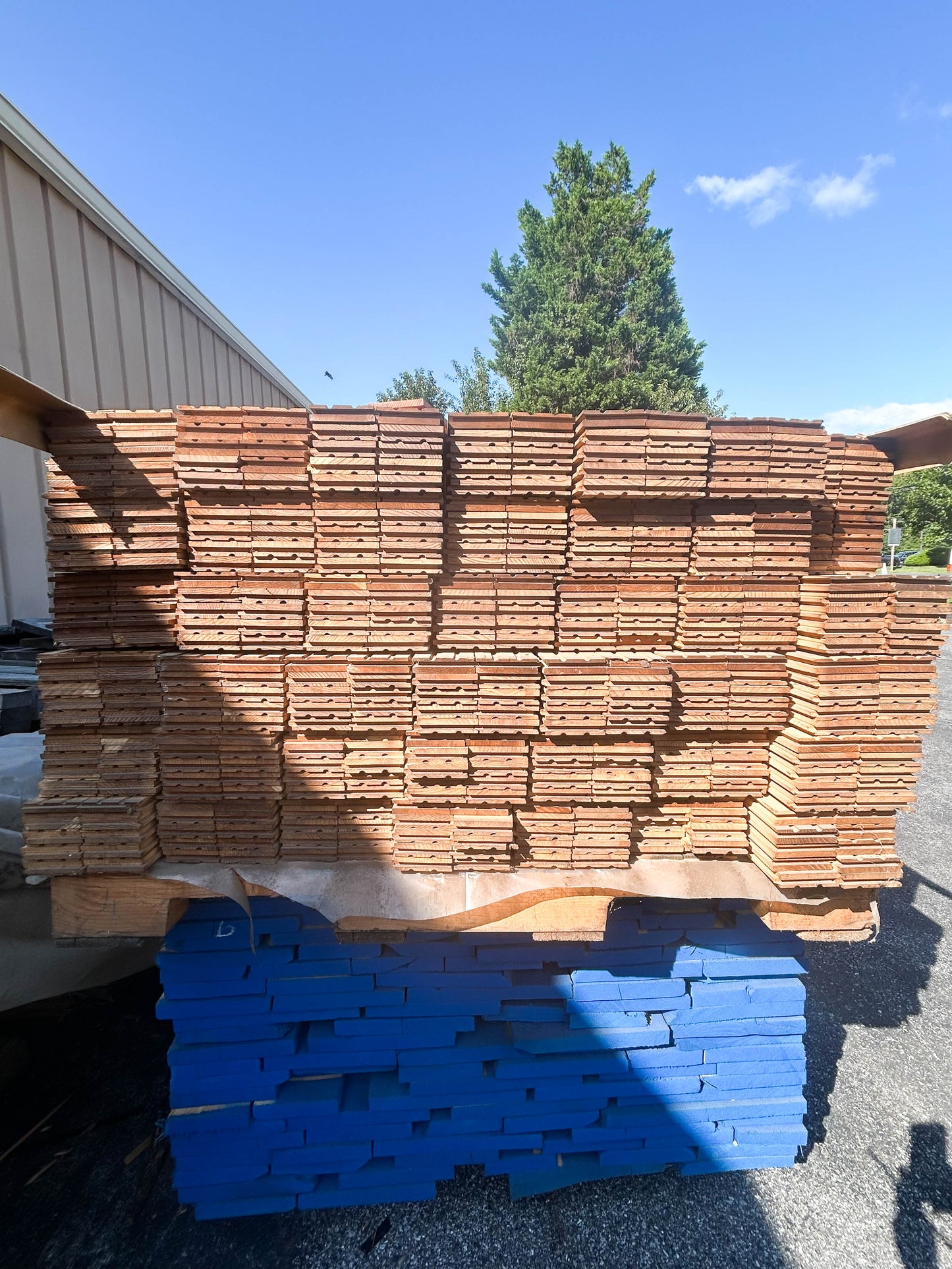SALE!! CHESTNUT, European End Matched Flooring - 3-7' x 3"FACE x 3/4"x 725LFT- WE550